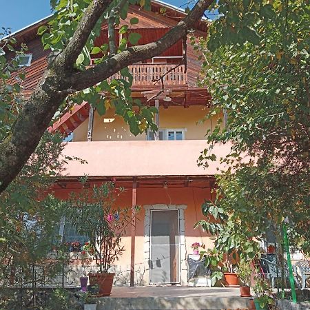 Vila Mara Sărata-Monteoru Extérieur photo