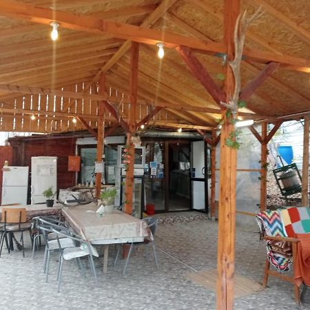 Vila Mara Sărata-Monteoru Extérieur photo