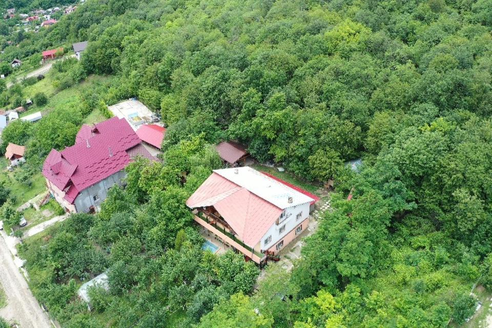 Vila Mara Sărata-Monteoru Extérieur photo