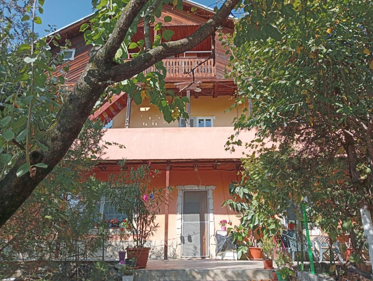 Vila Mara Sărata-Monteoru Extérieur photo