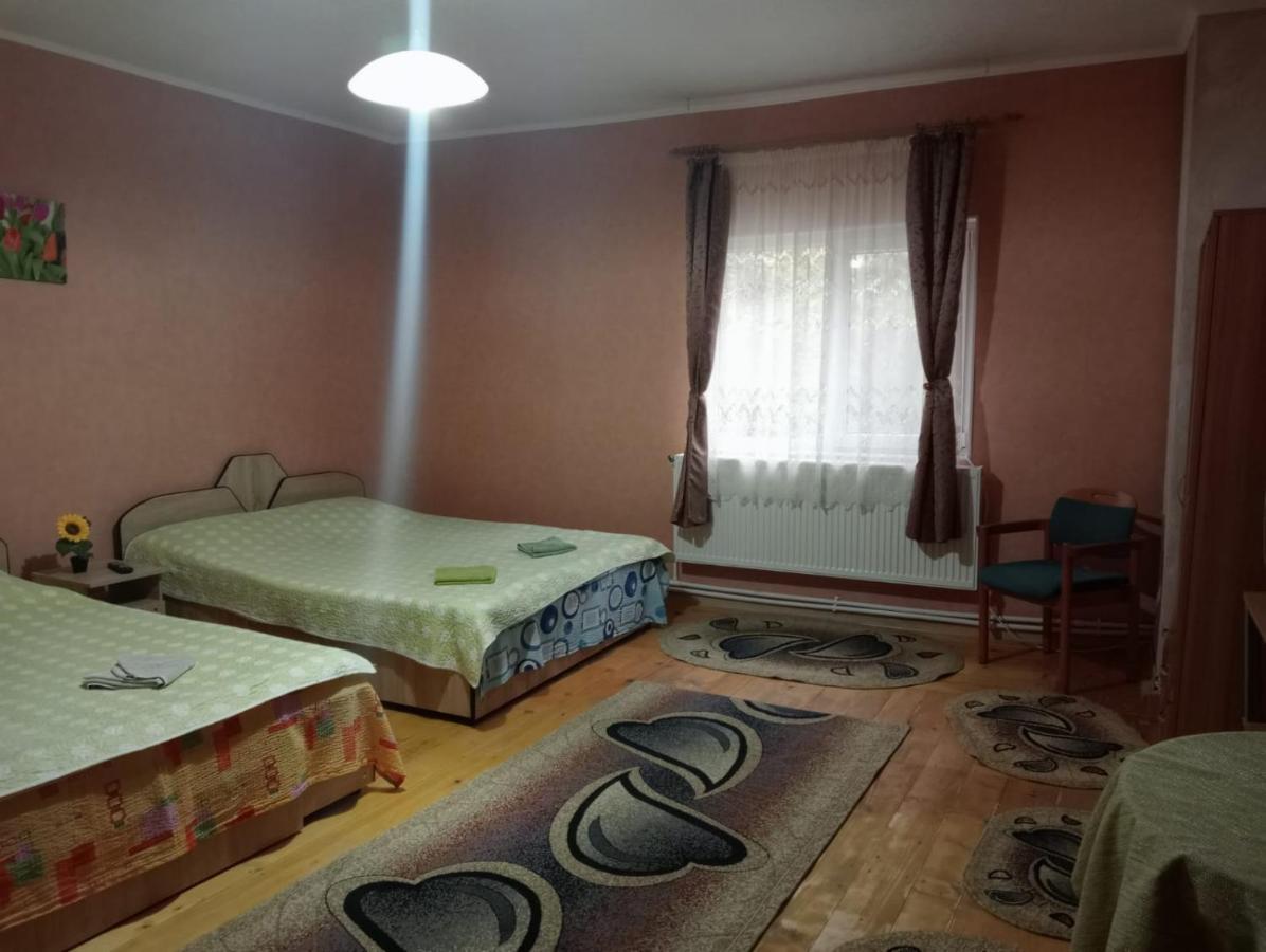 Vila Mara Sărata-Monteoru Extérieur photo